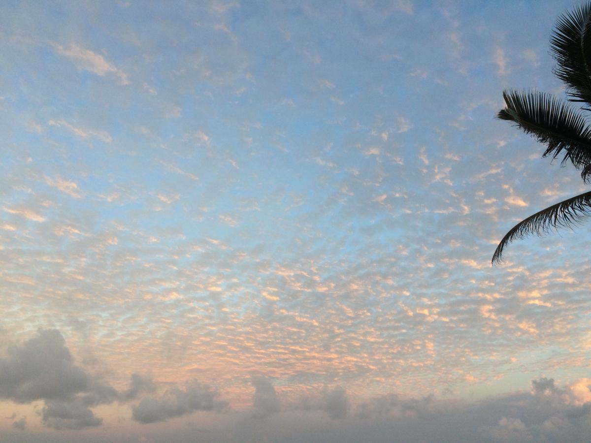 Open Sky Bed and Breakfast Weligama Εξωτερικό φωτογραφία